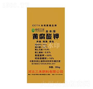 �S�����-���r����