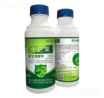 ΢�������-ʮ�|�R-ϣ���R����