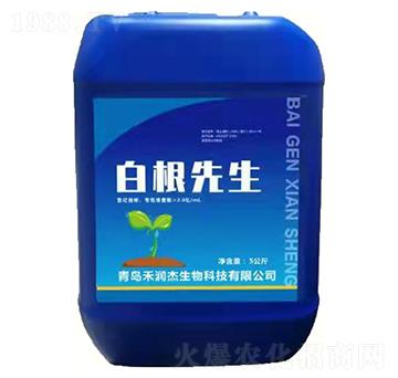 �׸�����-�����S