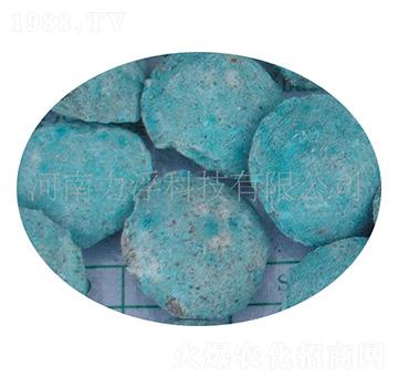 �ؙ������ؘ��-�����Ƽ�