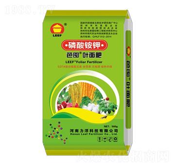 �����@��~���-�Ŷ�-�����Ƽ�