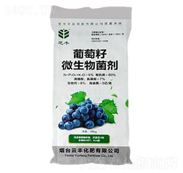 ������΢�������-֥�S-���S����