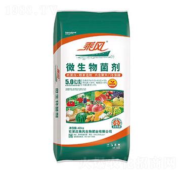 5�|��΢�������-���L����