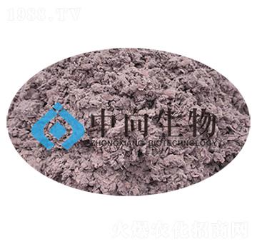 淡紫擬青霉-中向生物