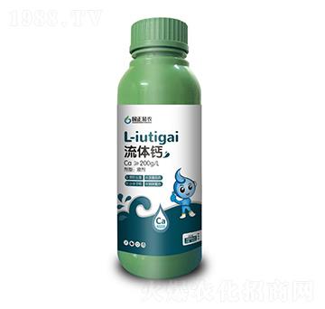 ���w�}-�������r