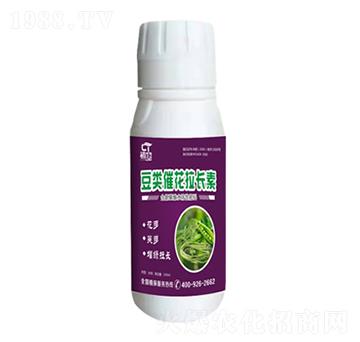 ��߻����L��-����-�֮��