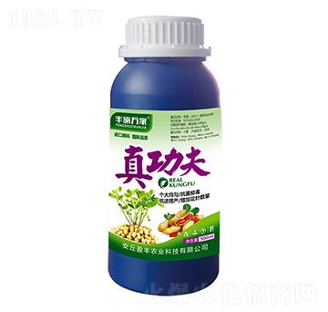 �湦��-�S�T�f��-ӯ�S�r�I(y��)