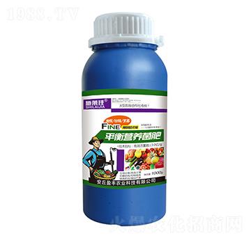 ƽ��I�B(y��ng)����-ʩ�R��-ӯ�S�r�I(y��)