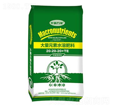平衡營養(yǎng)型大量元素水溶肥料20-20-20+TE-豐碩萬家-盈豐農業(yè)