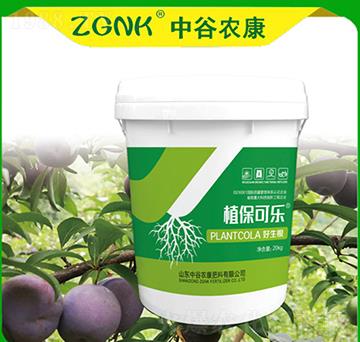 ������-ֲ���ɘ�-�й��r(n��ng)��