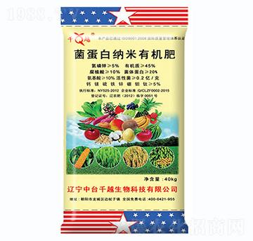 �����׼{���ЙC��-ǧԽ