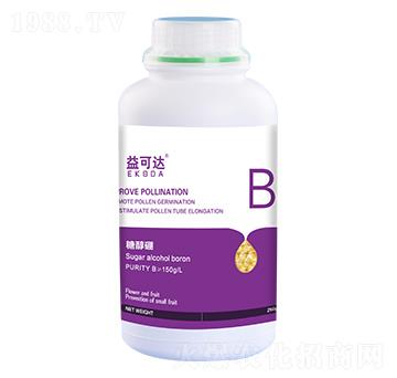 �Ǵ���-����_(d��)-�к̄�(d��ng)��