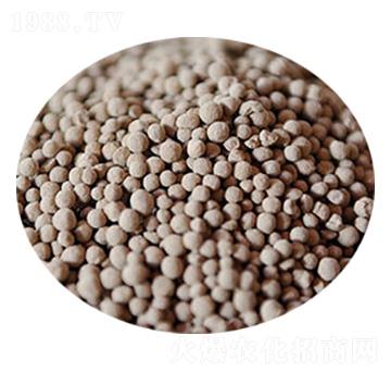 �����V��-�R�񻯹�