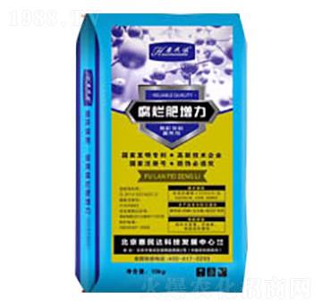 ����������-�����_(d��)