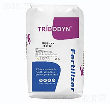 �����0-0-52-�D�͵�