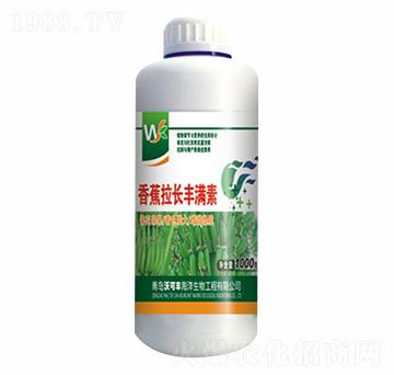 香蕉拉長(zhǎng)豐滿(mǎn)素-沃可豐