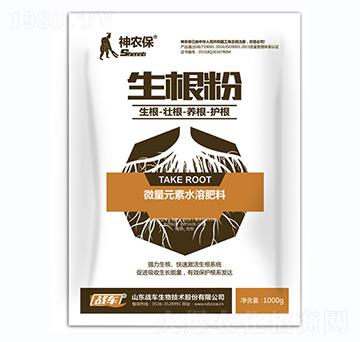 生根粉-戰(zhàn)車