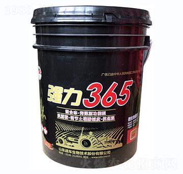 強力365-戰(zhàn)車