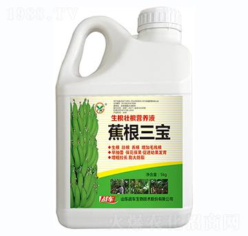 蕉根三寶-戰(zhàn)車