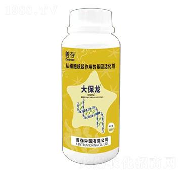 ����-�ƴ�����