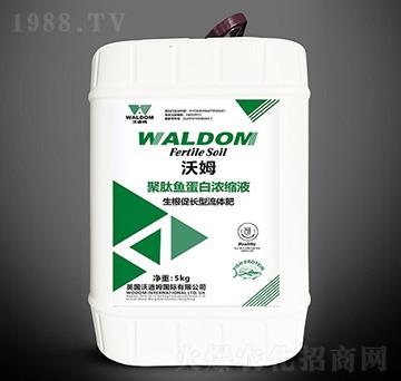 �������L(zh��ng)�;����~���ם�sҺ-��ķ-�ֵ�ķ