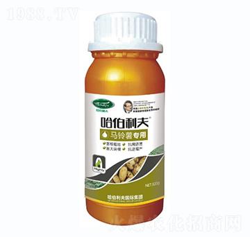 馬鈴薯專(zhuān)用-哈伯利夫