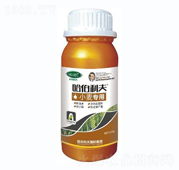 小麥專(zhuān)用-哈伯利夫