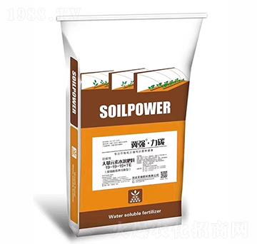 大量元素水溶肥19-19-19+TE-冀強·力碳-禾健