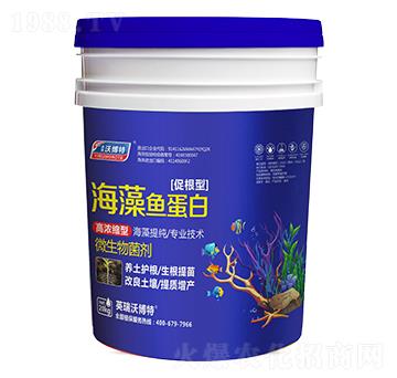 �����~(y��)���ף��ٸ��ͣ�-Ӣ���ֲ���