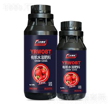 草莓需配有機水溶肥料-英瑞沃博特