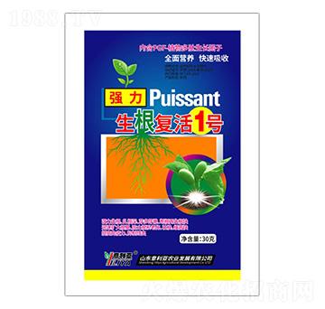 �����ͻ�1̖-������