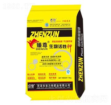 ������������-�����طʘI(y��)