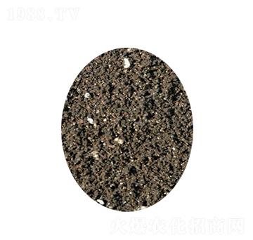 ���ߠI(y��ng)�B(y��ng)��-�s�S����