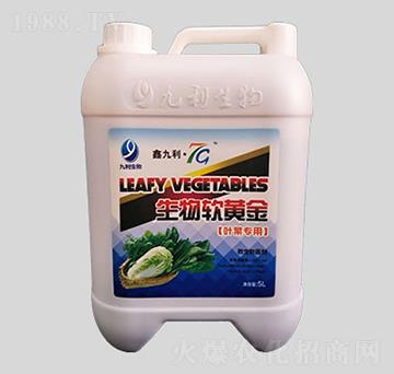 �~�ˌ��Û_ʩ����-����ܛ�S��-�����ʘI(y��)