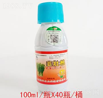 韭壯根-海華農(nóng)業(yè)