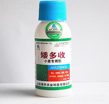 小麥專用矮多收-海華農(nóng)業(yè)