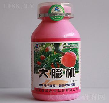 大膨桃-海華農(nóng)業(yè)