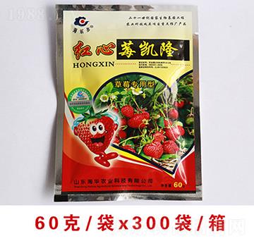 �t��ݮ�P������ʩ��-���A�r(n��ng)�I(y��)