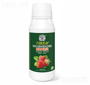 草莓膨大拉長(zhǎng)靈-獅馬肥業(yè)