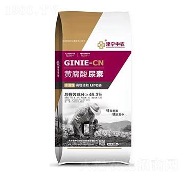 �S��������-�Ѓ|�r(n��ng)