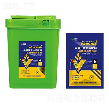 ֲ�：��������-�ֿ��A