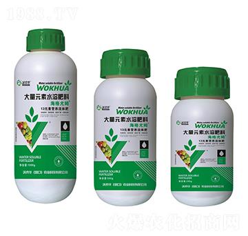 13Ԫ�ؠI�B(y��ng)���w��-�ֿ��A