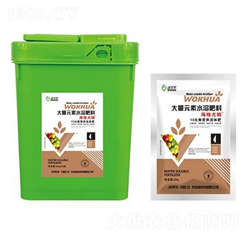 ������ķ13Ԫ�ؠI�B(y��ng)���w��-�ֿ��A