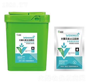 ����������L��-�ֿ��A