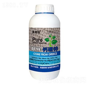 �}���\�~���-Ӣ����