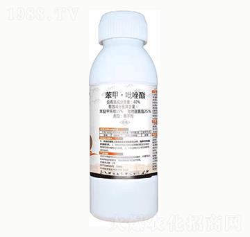 40%���ס�������-��݆-��(y��u)���_