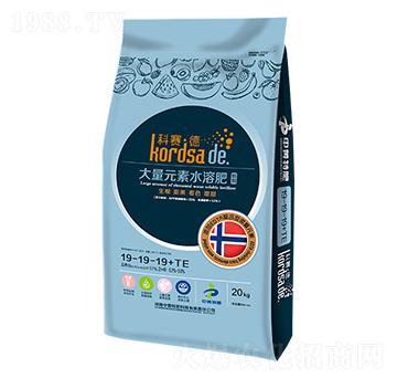 ��(j��ng)��(j��)�������L�ڌ���ˮ�ܷ�19-19-19-��ِ��-�r(n��ng)������