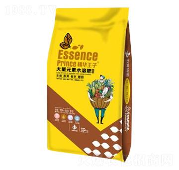 平衡型營養(yǎng)專用水溶肥19-19-19+TE-精華王子-農(nóng)富天下
