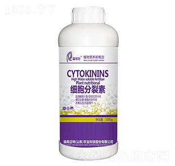 ��(x��)��������-���w�~��