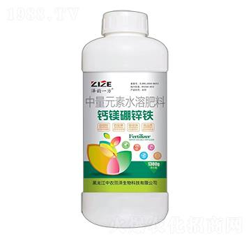 �}�V���\�F-���һ��-���r(n��ng)���